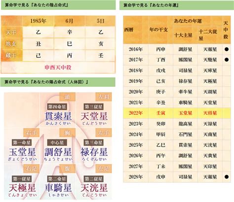 翠遙居算命|算命学｜無料占い・細密命式でわかる！あなたの宿命・運勢・性 